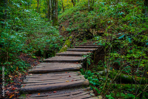 Autumn landscape in Plitvice Park  Croatia