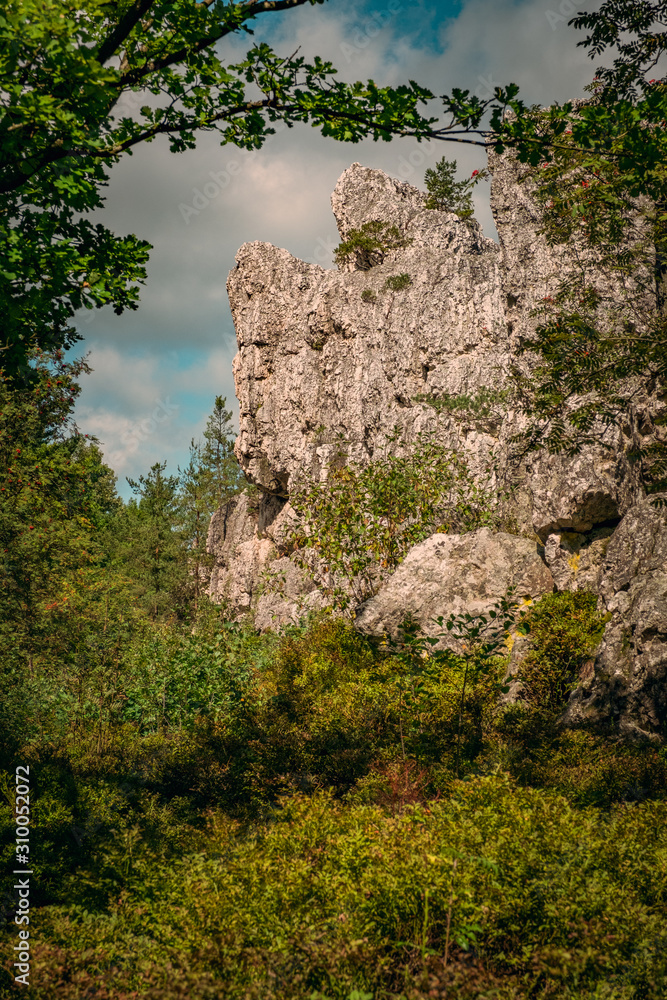 Pfahl von Viechtach Pfahl von Viechtach