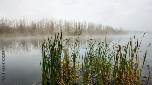 Misty morning on the river  panoramic landscape in the countryside.