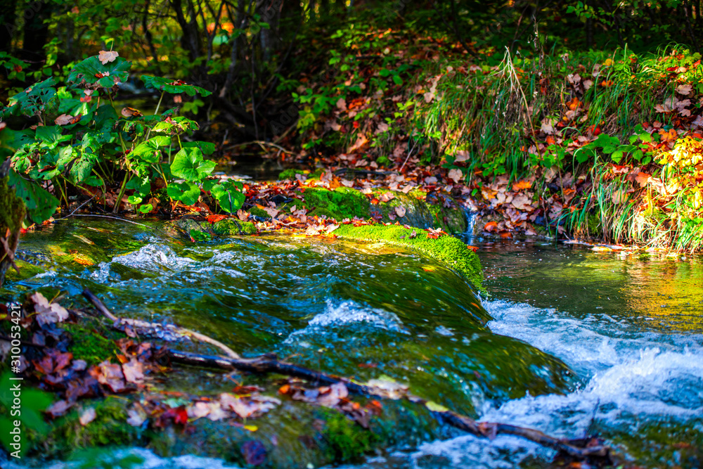 Autumn landscape in Plitvice Park, Croatia Autumn landscape in Plitvice Park, Croatia