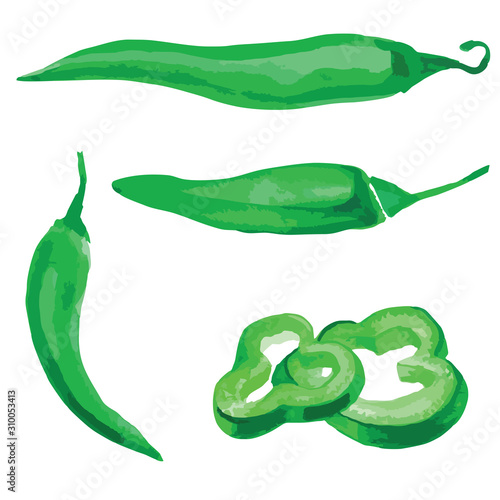 Watercolor vector illustrated paprika, green pepper