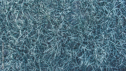 snowy grass with frost texture 