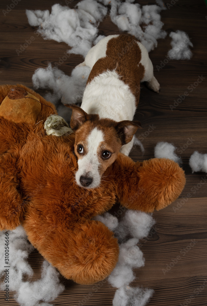 Jack russell soft toy cheap