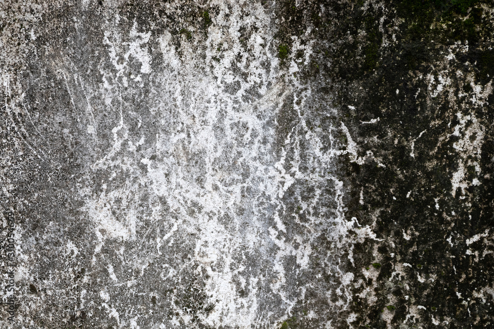 Weathered wall with vein texture. Derelict. Grunge.