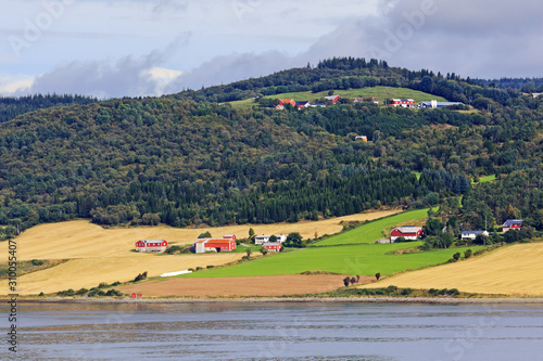 Landschaft mit Wäldern, Feldern und Wiesen am Trondheimfjord. Stadsbygd, Indre Fosen  im Trøndelag, Norwegen photo