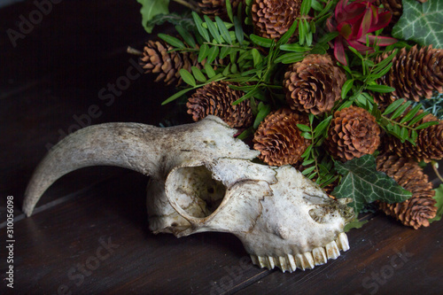Close-up of an animal skull next to a bouquet on a wooden tabletop, selective focus