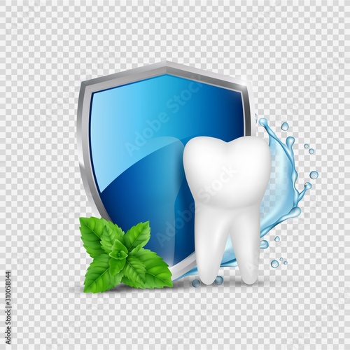 Tooth protection. White tooth, shield and mint, water splash. Dental healthy concept vector illustration. Dental tooth and shield protection care