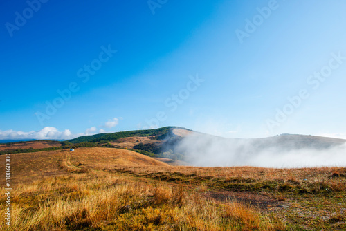 Fog on the hill