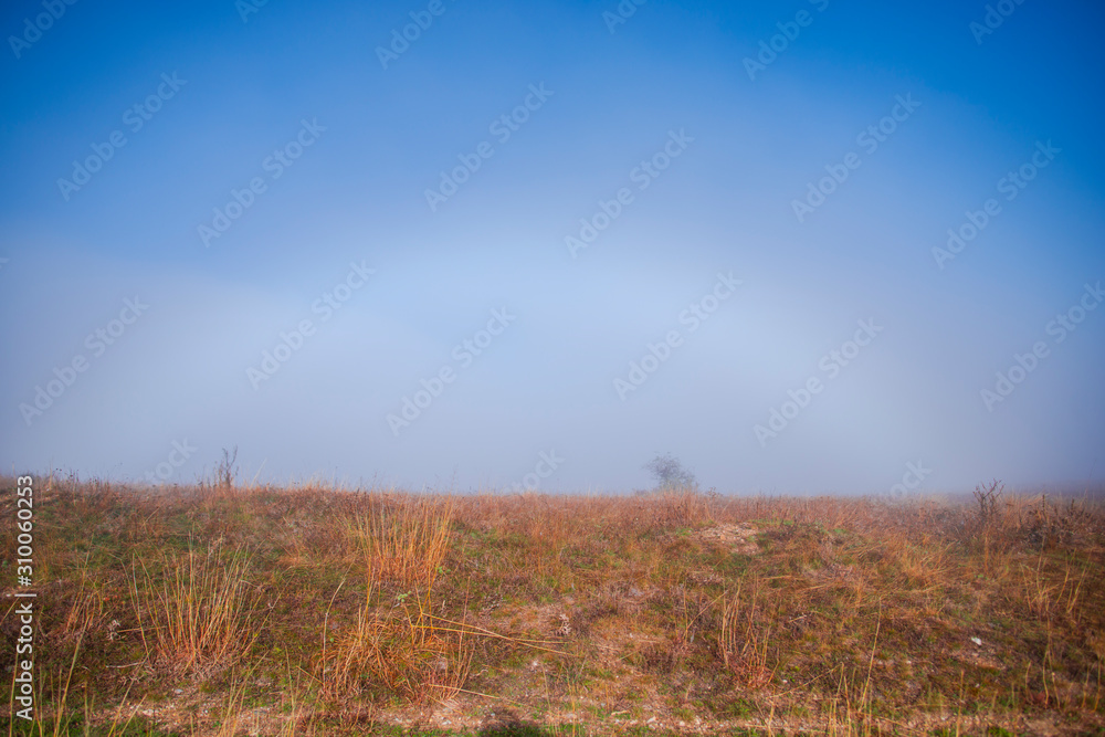 Fog on the hill