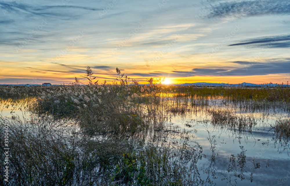 Sunset in the calm waters of the Albufera de Valencia, Spain. Sunset in the calm waters of the Albufera de Valencia, Spain.