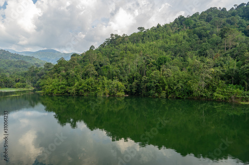 lake in deep forest