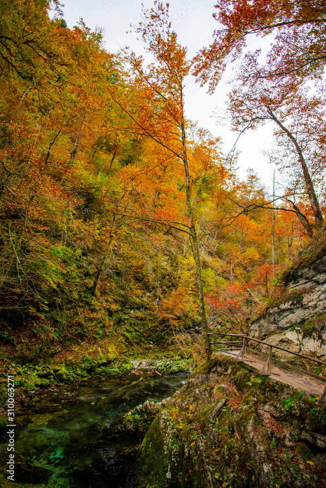 Autumn landscape in the Vintgar cannyon, Slovenia Autumn landscape in the Vintgar cannyon, Slovenia