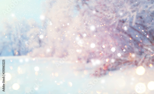 Fototapeta Boże Narodzenie zima rozmazane tło. Xmas drzewo ze śniegiem, tło uroczysty wakacje. Tło szerokoekranowe. Nowy rok Zima projekt sztuki z płatkami śniegu. Scena natury
