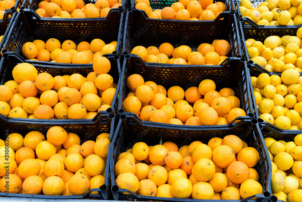 Close up various citrus fruit for sale in supermarket Close up various citrus fruit for sale in supermarket