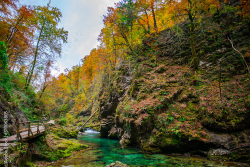 Autumn landscape in the Vintgar cannyon, Slovenia photo