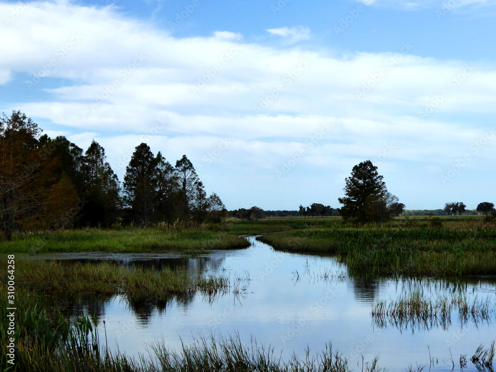 Fototapeta premium Sumpflandschaft der Everglades in Florida (USA) bei Sonnenschein und blauem Himmel mit Wolken