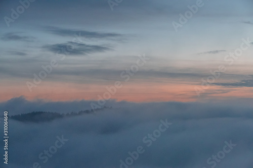 An der Nebelgrenze © Samuel
