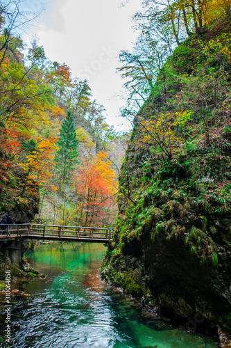 Autumn landscape in the Vintgar cannyon, Slovenia photo