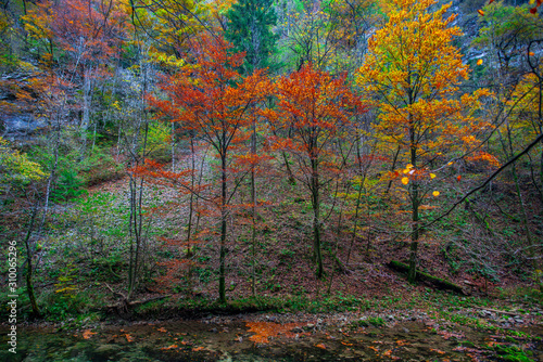 Autumn landscape in the Vintgar cannyon, Slovenia photo