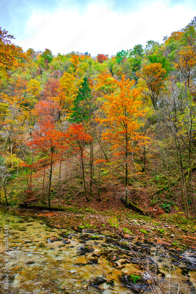 Fototapeta premium Autumn landscape in the Vintgar cannyon, Slovenia
