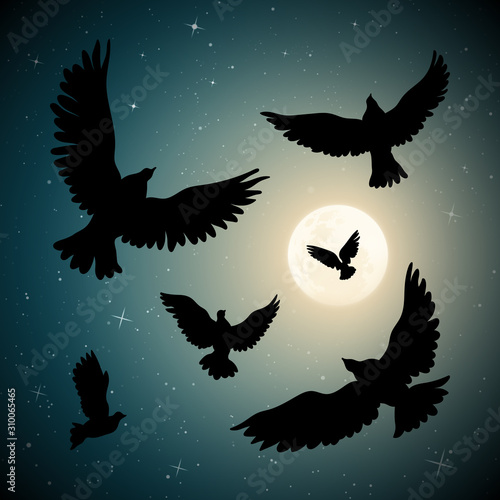 Flying birds in sky on moonlit night. Vector illustration with flock of pigeons on starry background. Full moon in starry sky