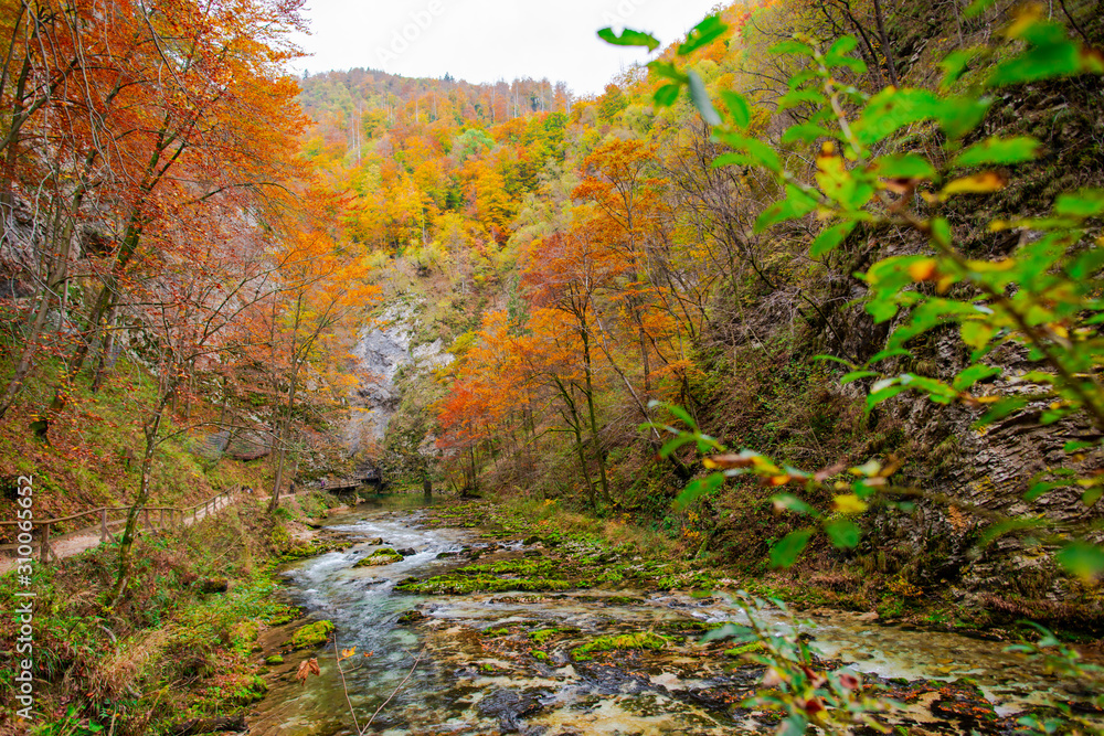 Autumn landscape in the Vintgar cannyon, Slovenia