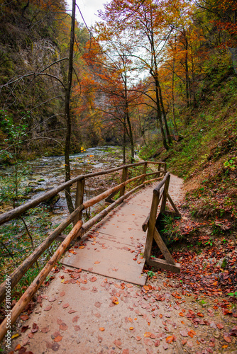 Autumn landscape in the Vintgar cannyon, Slovenia photo