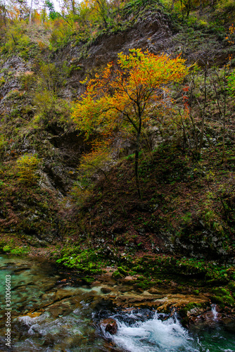 Autumn landscape in the Vintgar cannyon  Slovenia