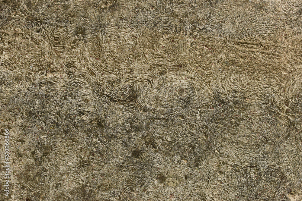 Old wall texture. Gray background. Frame for the inscription. Old wall texture. Gray background. Frame for the inscription.