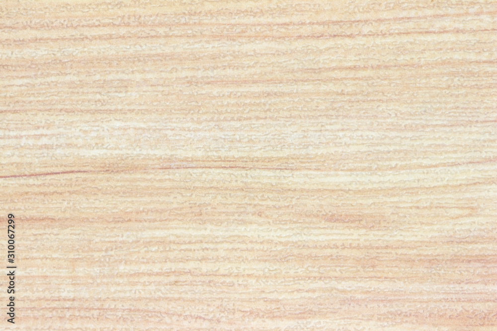 Wood background or texture Wood background or texture