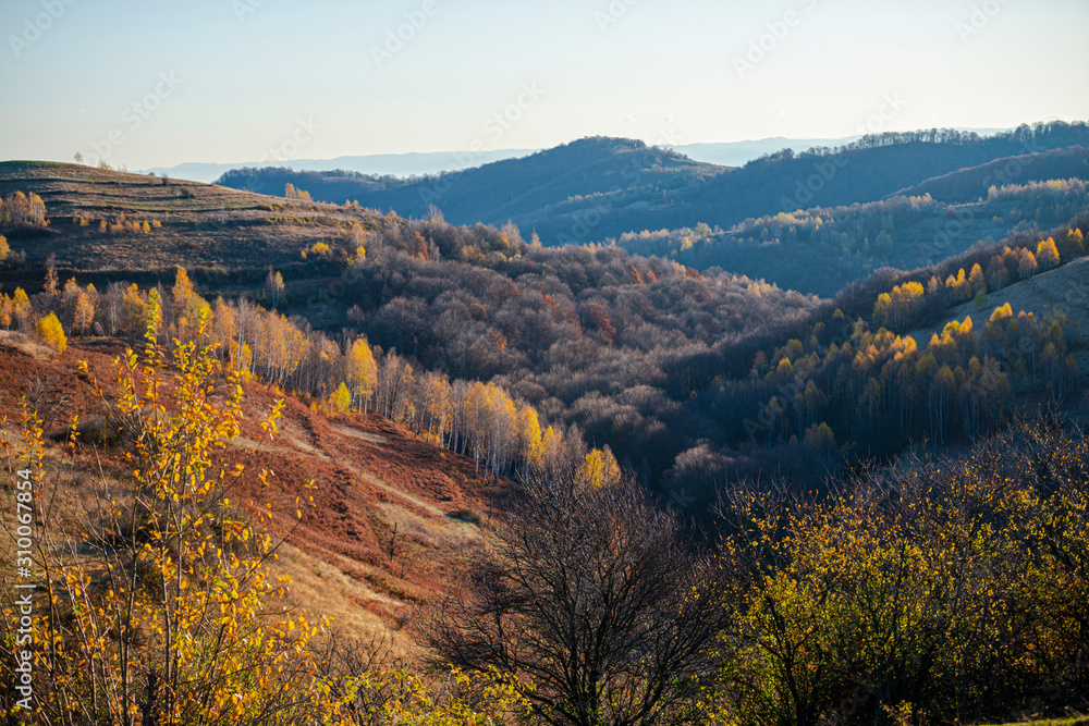 November autumn landscape