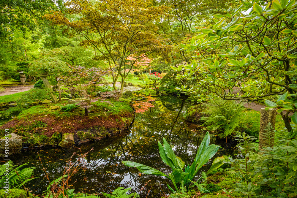 Beautiful autumnal colours in the Japenese garden in park Clingendael, The Hague, Netherlands Beautiful autumnal colours in the Japenese garden in park Clingendael, The Hague, Netherlands