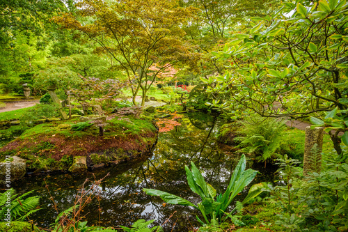 Beautiful autumnal colours in the Japenese garden in park Clingendael  The Hague  Netherlands