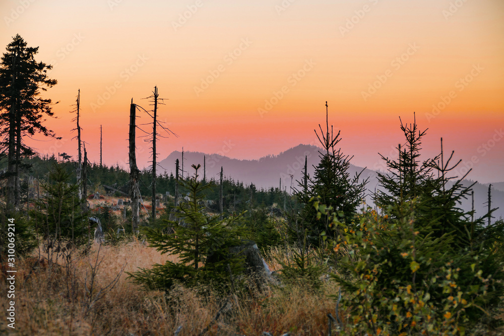 Fototapeta premium Die Busen des Bayerwaldes