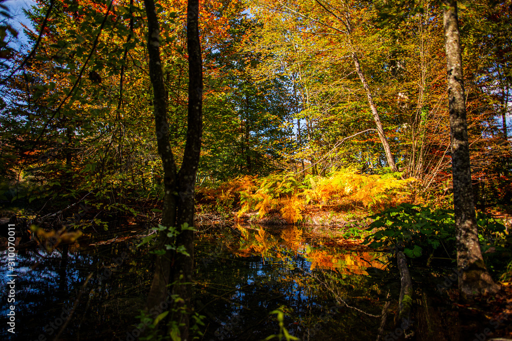 Autumn landscape in Plitvice Jezera Park, Croatia Autumn landscape in Plitvice Jezera Park, Croatia
