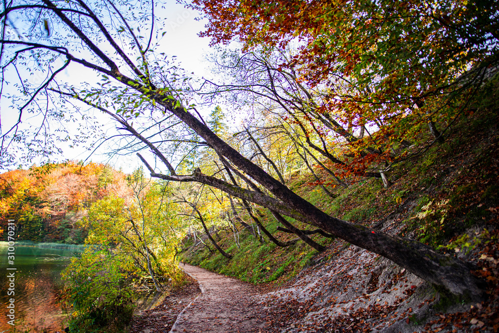 Autumn landscape in Plitvice Jezera Park, Croatia
