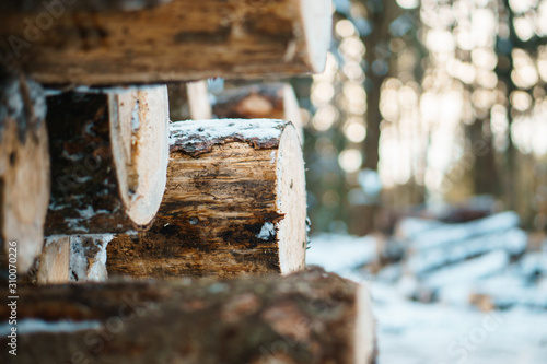 Folded snow-covered spruce wood logs in winter, Beskydy, Czech Republic, Mosty u Jablunkova