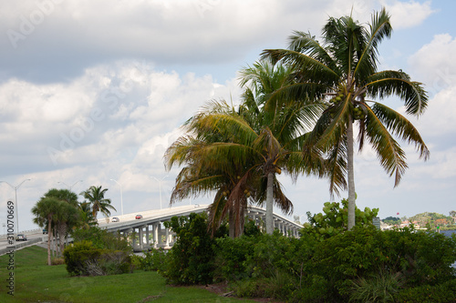 bridge and palms with sky and clouds