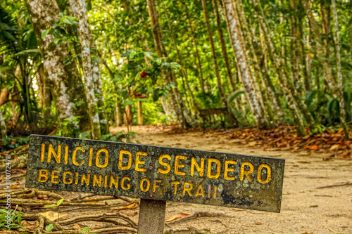 Cahuita National Park, beginning of the jungle path. Costa Rica photo