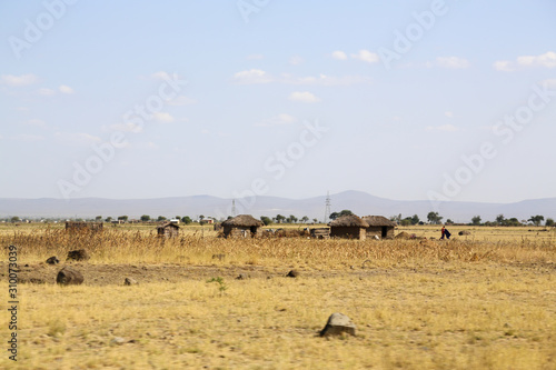 Village in the field