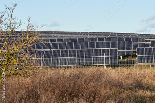 Wallpaper Mural green energy. solar panel field in the winter sun behind a fence. alternate energy. photovoltaic, blue sky, germany  Torontodigital.ca