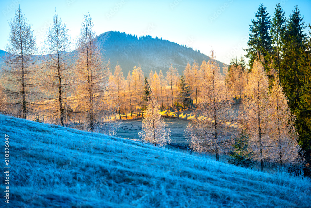 Win er landscape on the morning Win er landscape on the morning