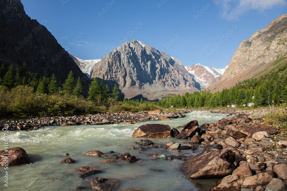 altai mountain and river forest