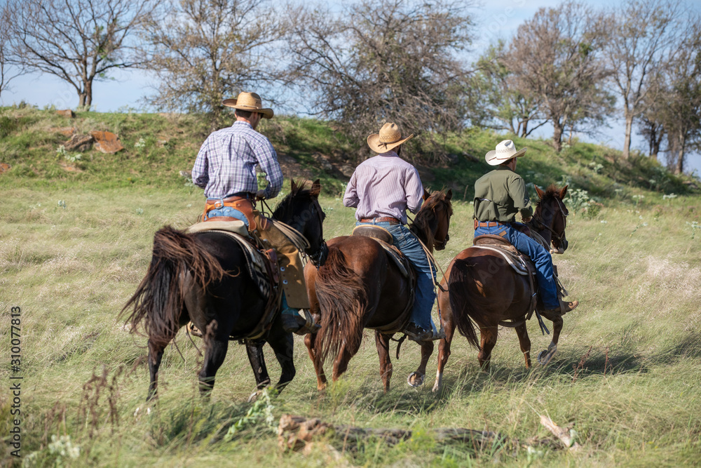 Group Of Cowboys