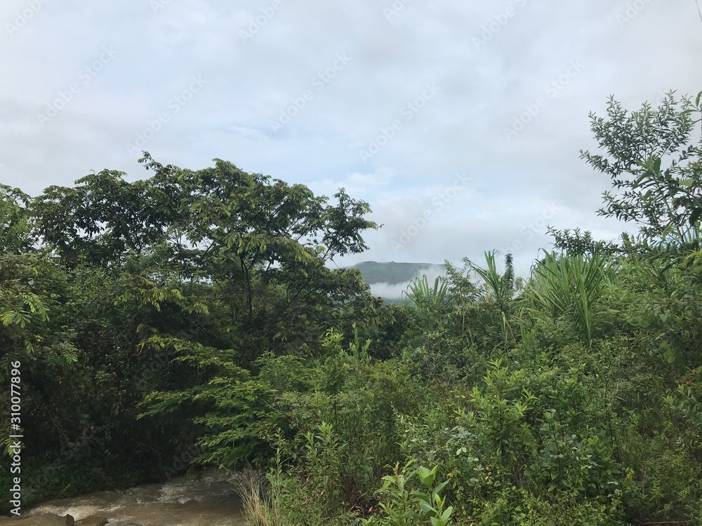 Obraz premium montañas naturales