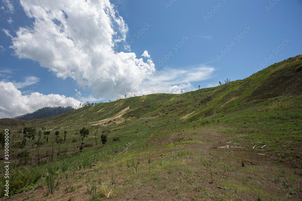 Bondowoso, East Java / Indonesia Savana Wurung Crater (Kawah Wurung) during the dry season, located in Curah Macan village, Bondowoso. Bondowoso, East Java / Indonesia Savana Wurung Crater (Kawah Wurung) during the dry season, located in Curah Macan village, Bondowoso.