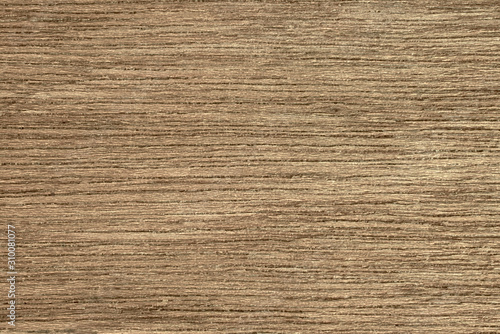 Fine wood texture. Beech surface, top view.