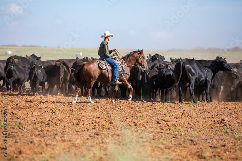 Foto Texas Cowboy
