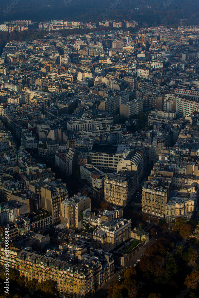 Naklejka premium paris depuis la tour eiffel