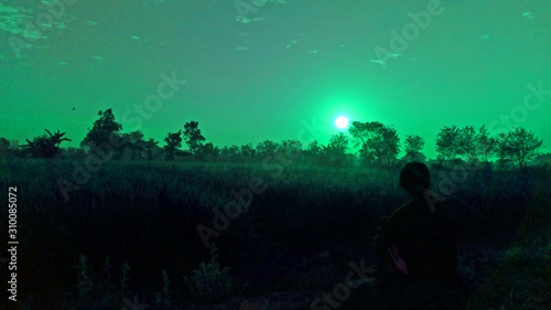 people at night in the field rice
